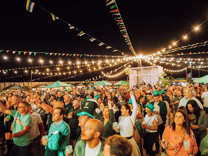 St Patrick Day Banner Bottom 2